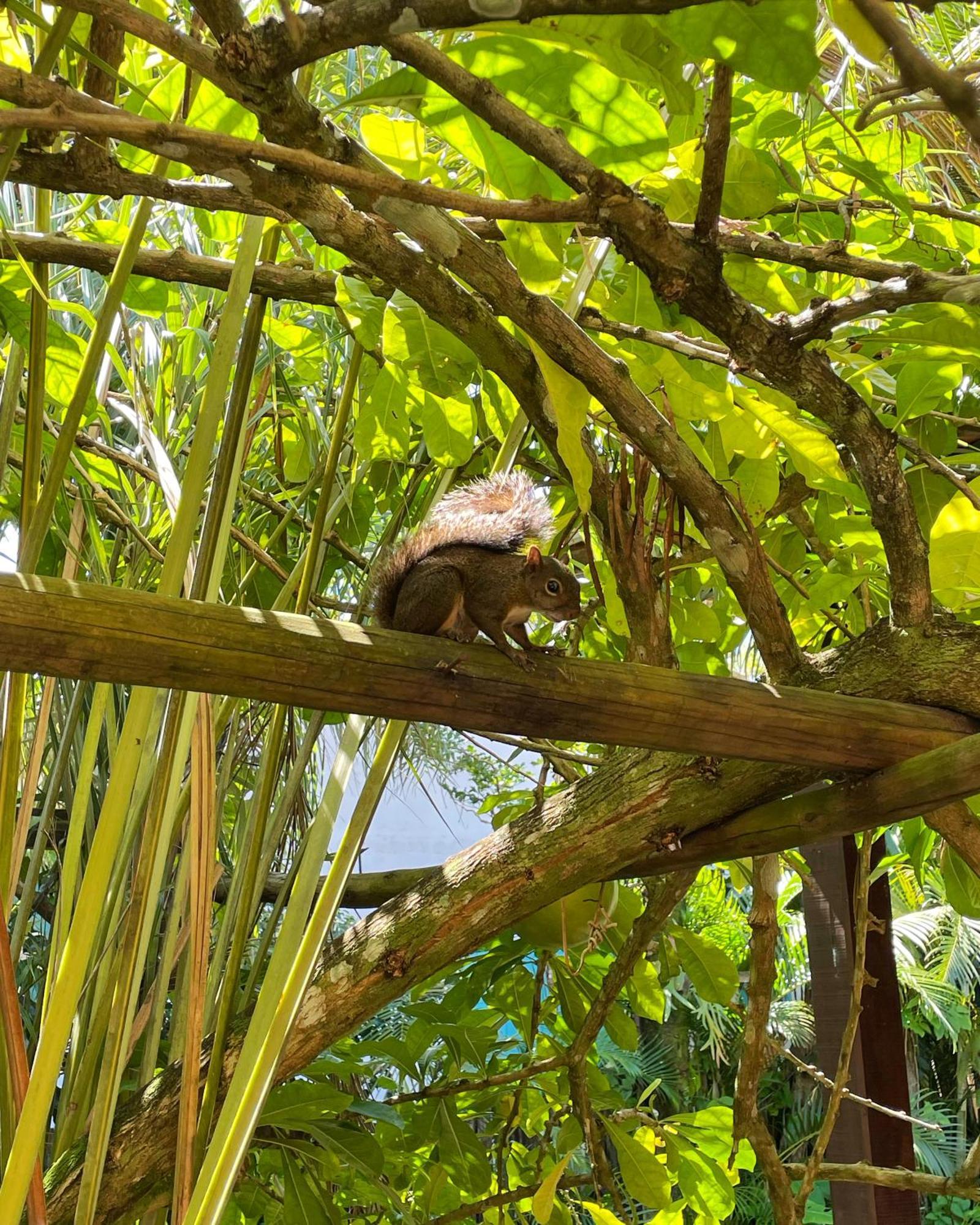 Pousada Jambrero Caraiva Luaran gambar